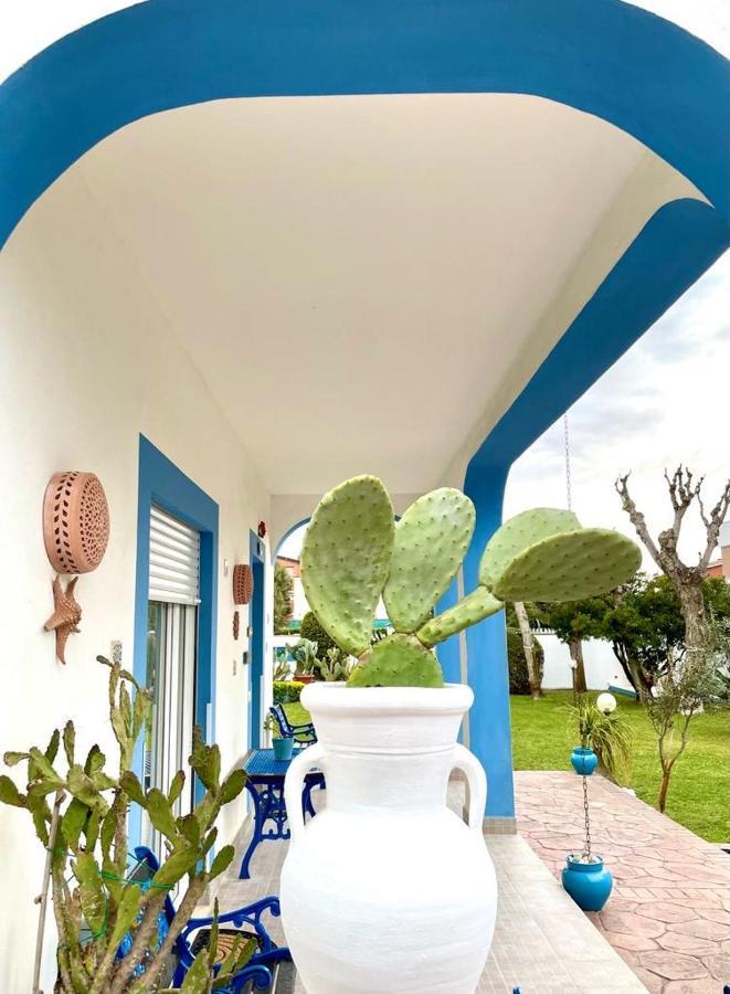 Casa Vacanze Costa Marina Fregenae Luaran gambar